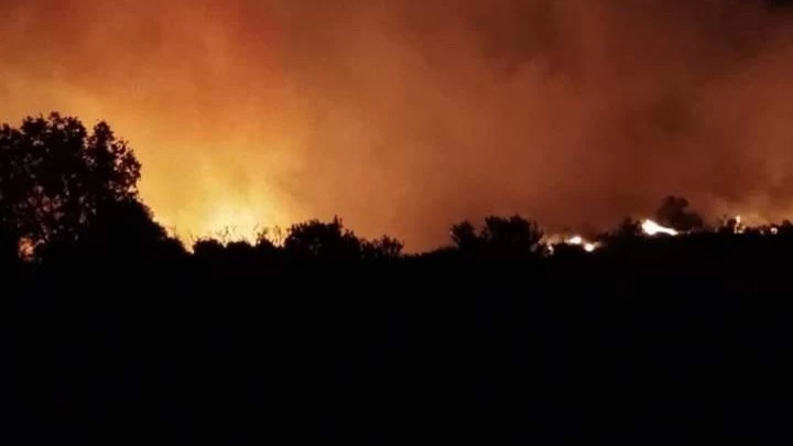 Στην Εύβοια το κλιμάκιο αντιμετώπισης εγκλημάτων εμπρησμού